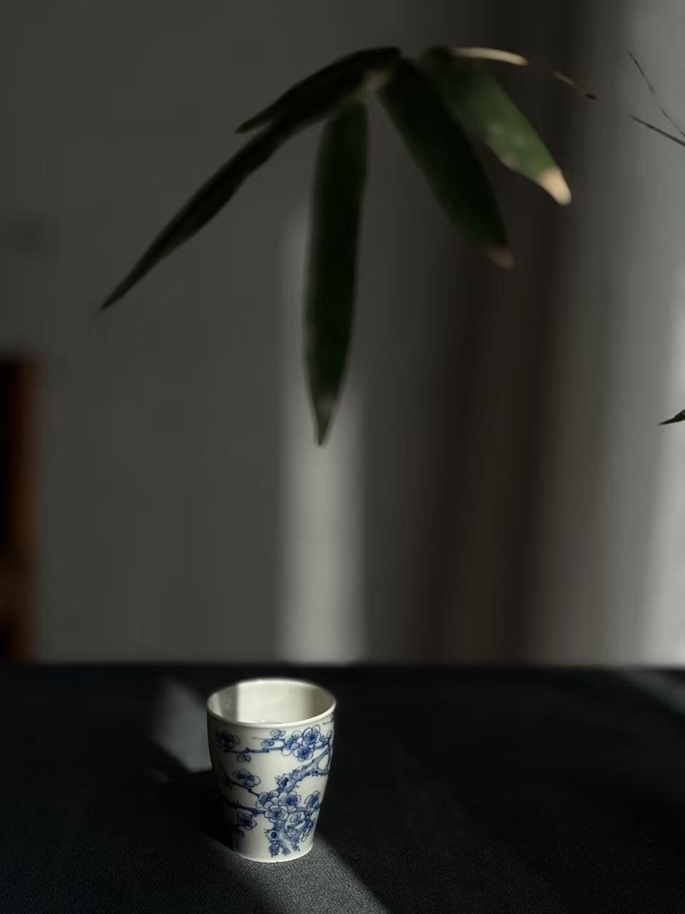 白茶到底能泡几泡？3种泡法精准参考，别再凭感觉了！很多茶友疑惑白茶泡两三泡就寡