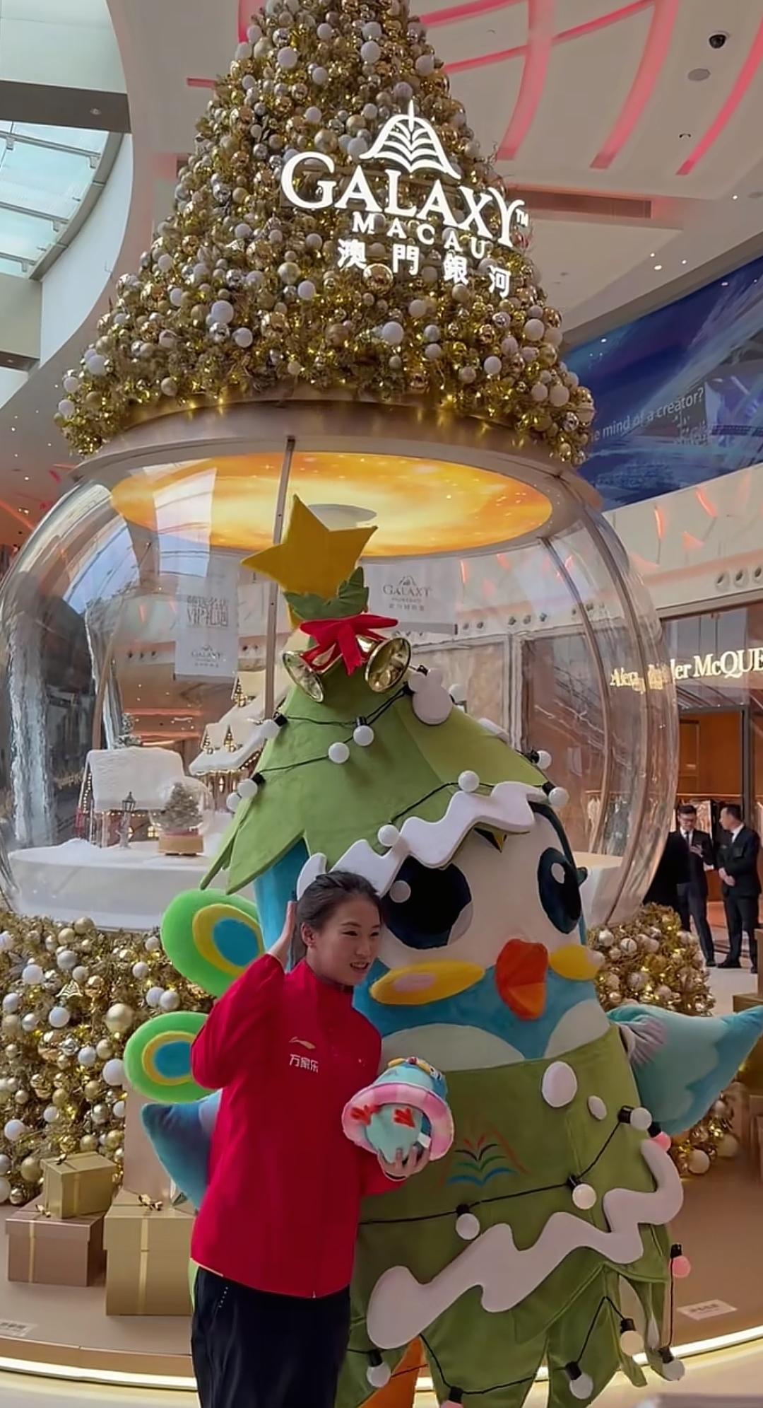 12月14日，国家跳水队运动员现身澳门银行时尚汇，大家集体乘坐电梯，安保工作人员