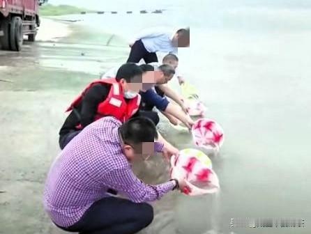 奇葩事不是天天有这不辽宁葫芦岛因“放生大米”出名了有人说，人果然不能吃得太