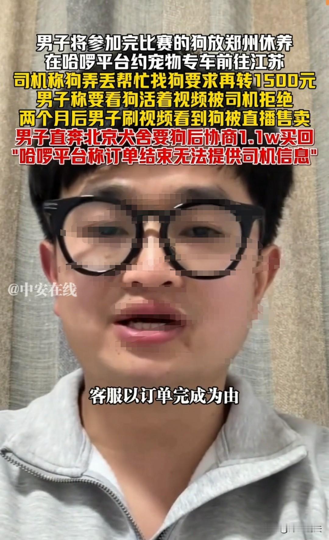 江苏，男子托运爱犬，司机称没钱下高速，让他转241元。男子转了钱后，对方又说狗狗