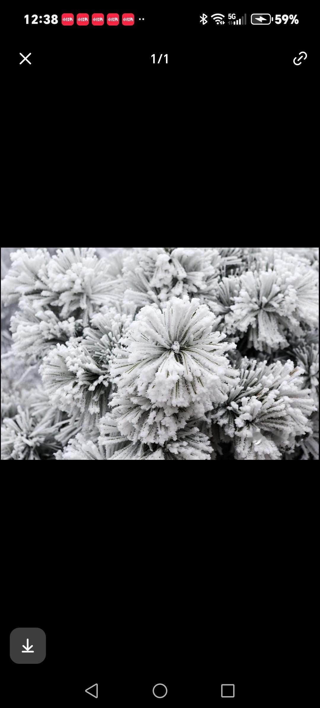 浙江的小伙伴注意啦！元旦假期前要迎来一波强冷空气，不仅可能下中到大雪，还会刮起