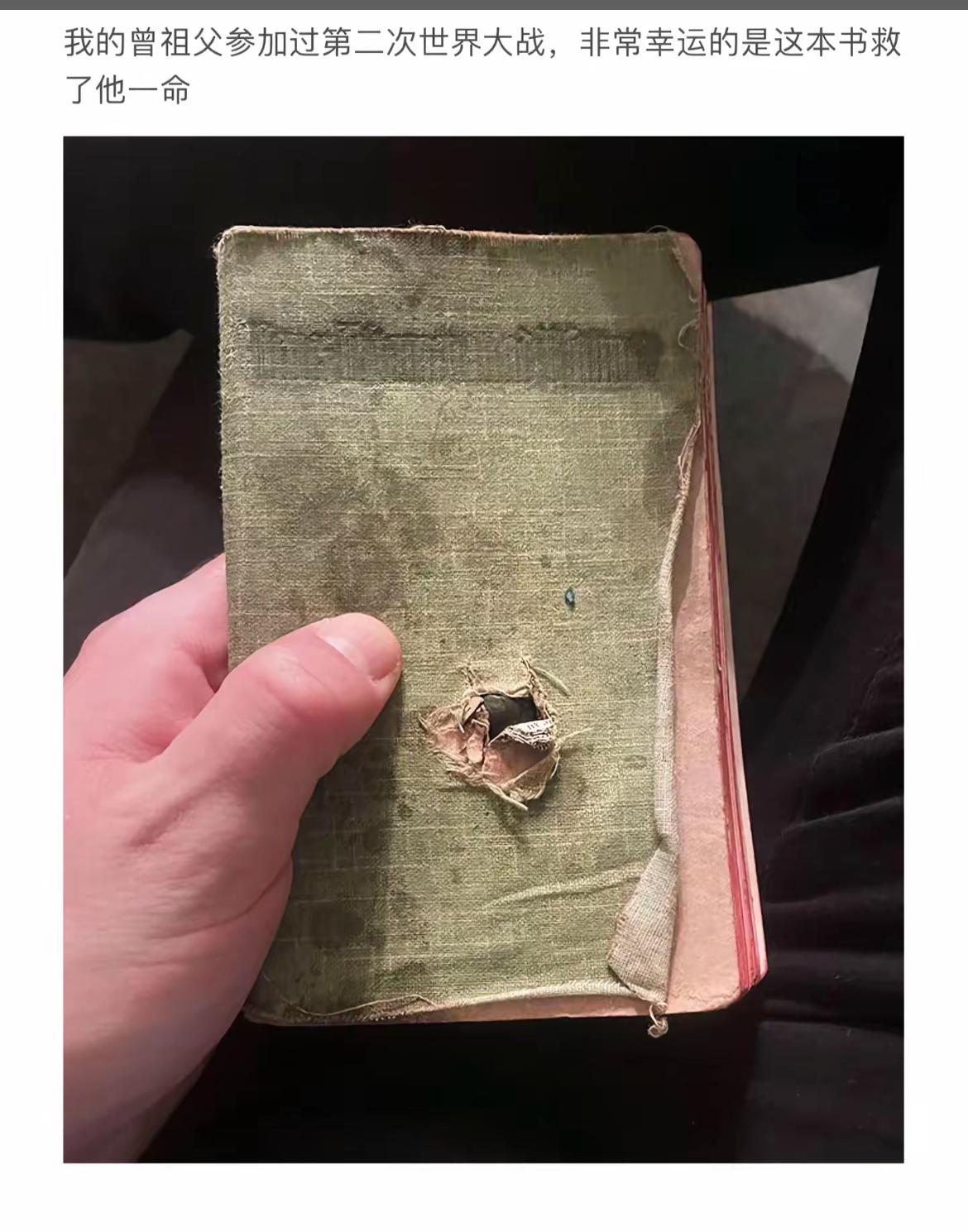 “祖父的战争幸存书：历史的见证者”📖👴