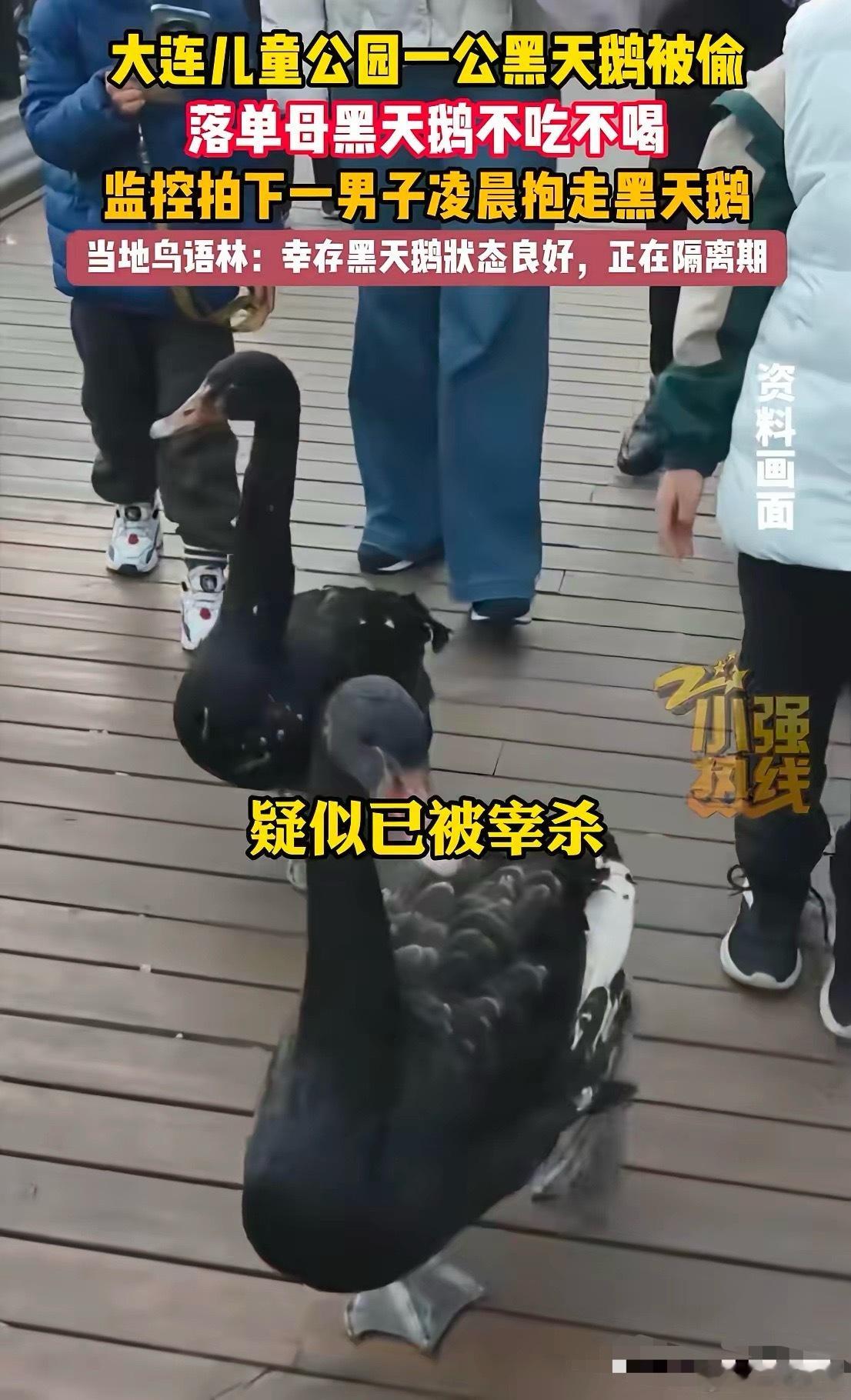 真的是又蠢又坏！辽宁，男子以为跨年夜人都去庆祝了，没有人会注意，他就偷偷跑进大连