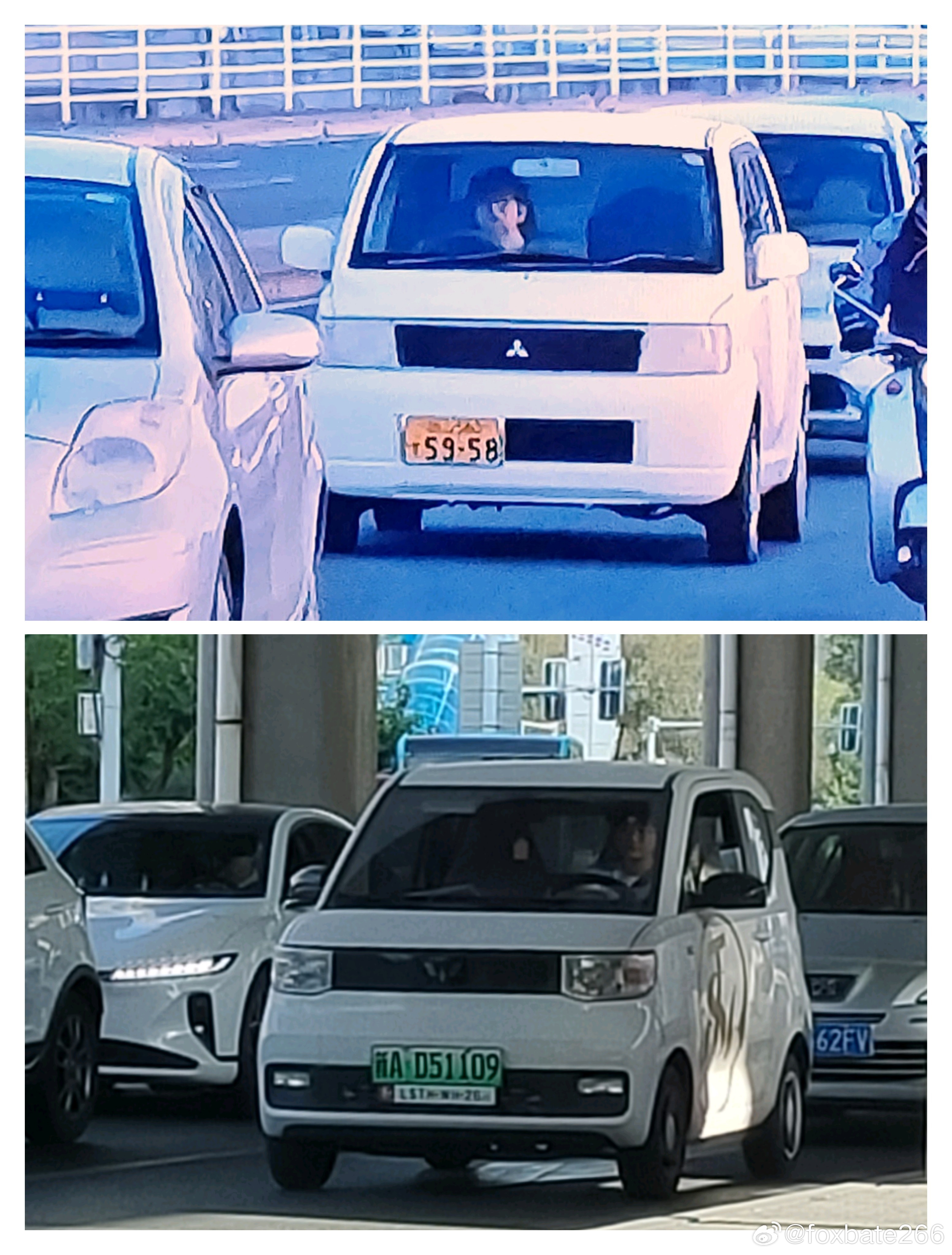 三菱和五菱的剁椒鱼头。