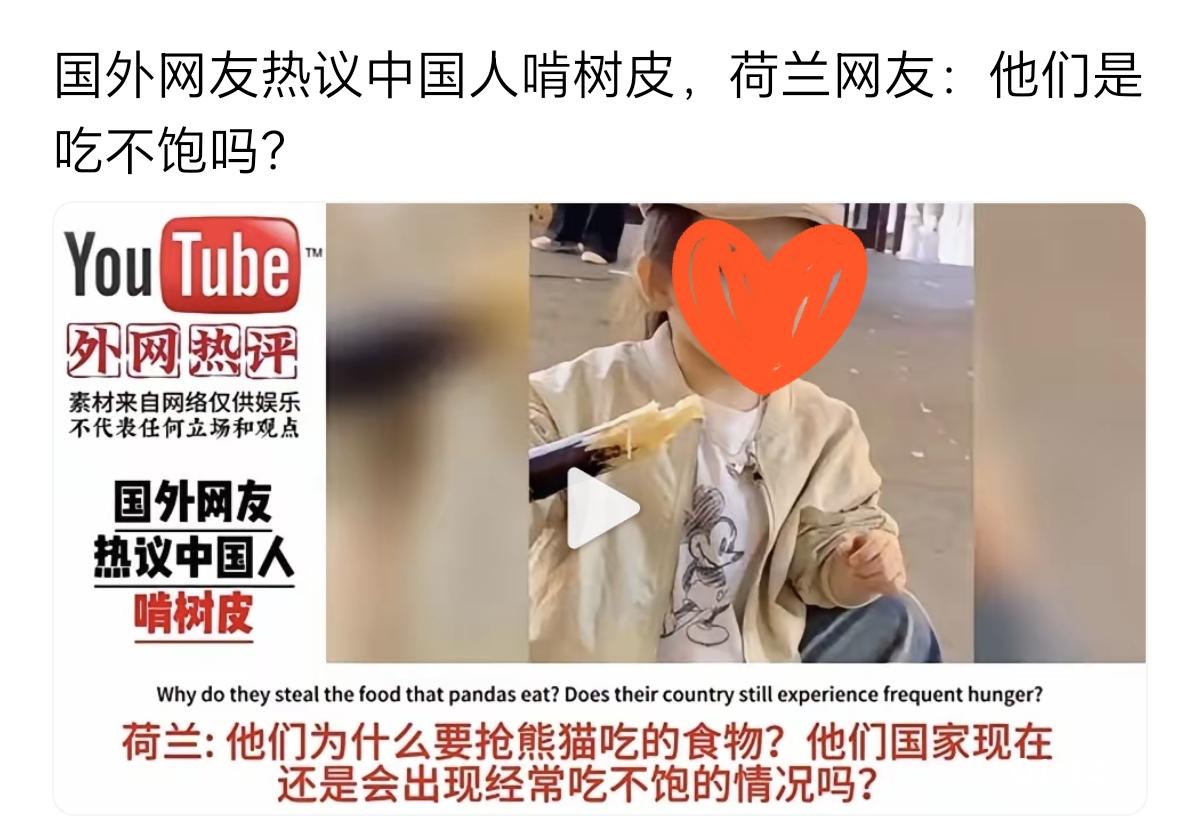 原来老外们，不少人是很没常识的。连甘蔗都不认识。居然还说这是树皮，这是熊猫吃的食