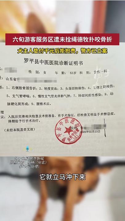 云南高速服务区惊现恶犬咬人，春节旅游返程路上，山东老妇被两次攻击。狗主人听到高额