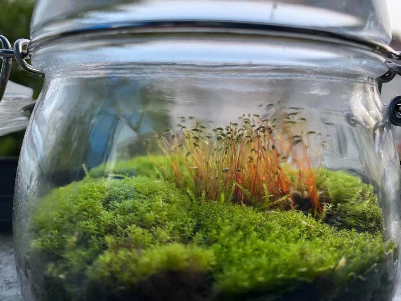 太重感情的人真的别轻易碰感情啊别人说结束就结束转身就能开始新的生活好