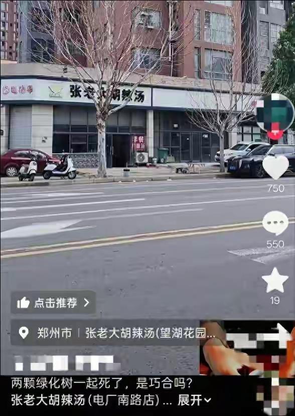 郑州胡辣汤店枯树引争议郑州电厂南路一胡辣汤店门前两棵行道树枯死，与周边繁茂