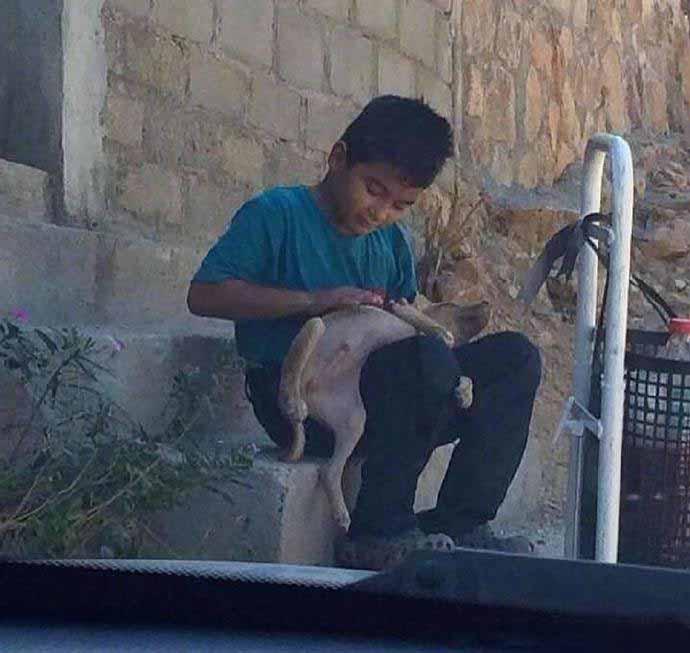 狗子可能是你儿时最忠诚的陪伴