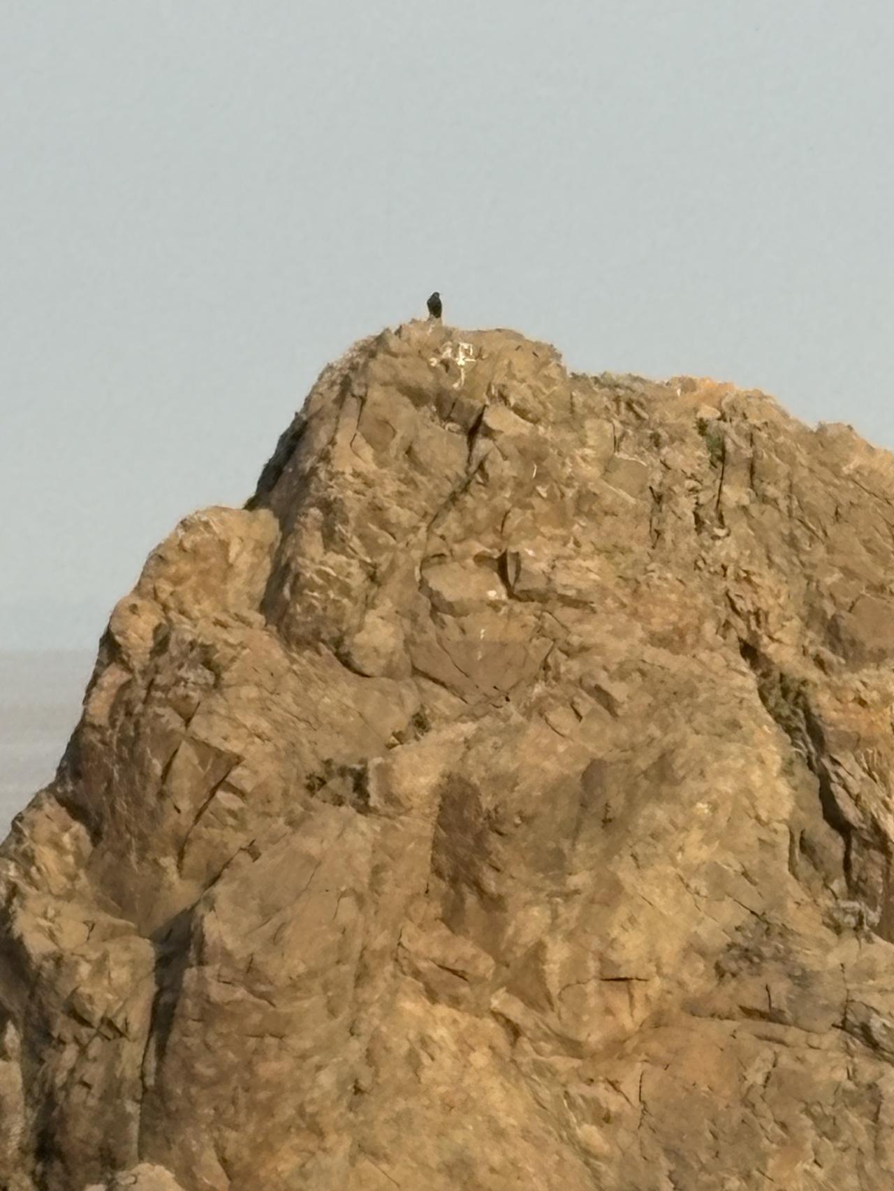 26年应该是中国的牛市，此机会不可不抓住。2026年A股大概率延续盈利驱动