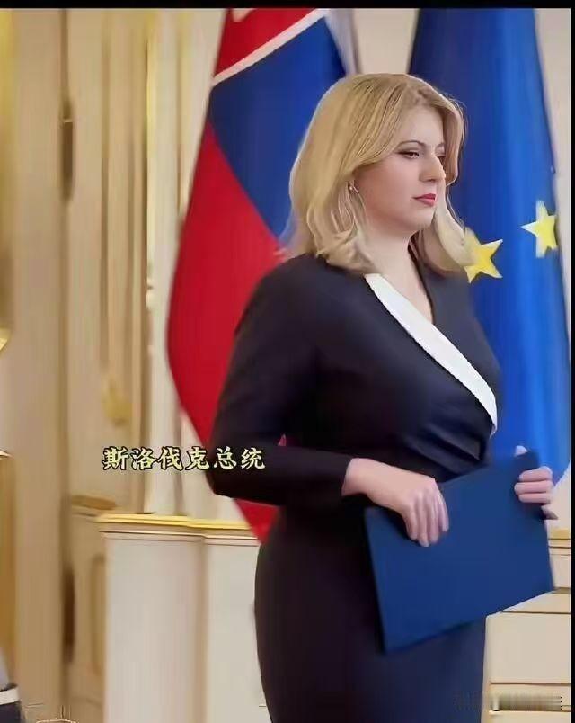这应该是目前世界上最美的女总统了。提起世界各国的领导人，有位女总统总能靠独特气
