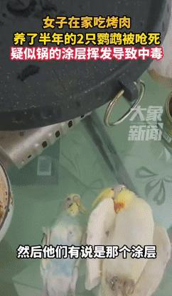 “真是防不胜防！”3月29日辽宁抚顺，一女子在家中吃烤肉，吃好喝好后，回头一看自