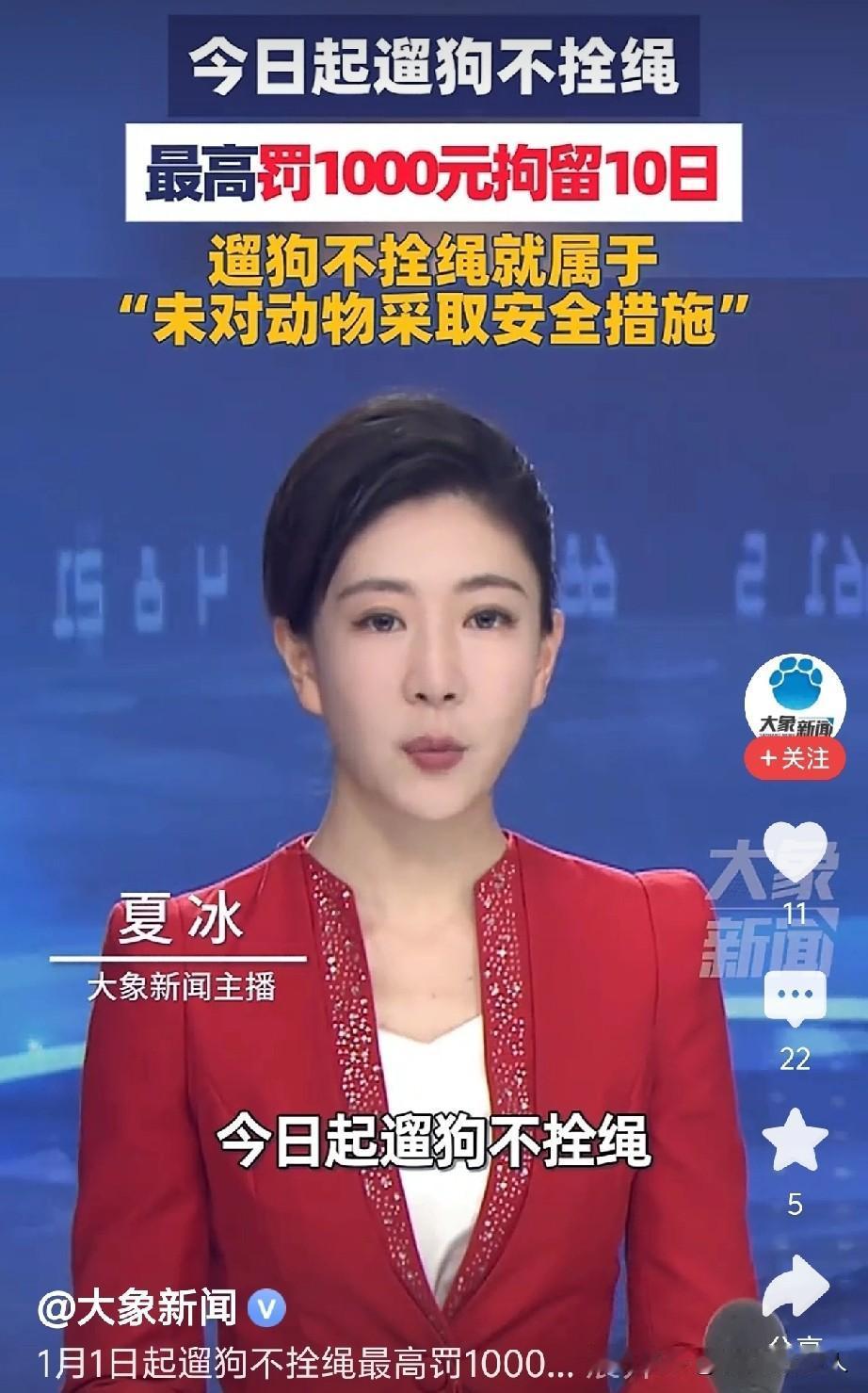 这个是不错，取证也好取，比如说你晚上散步的时候看到有的人在遛狗没栓绳，直接小视频