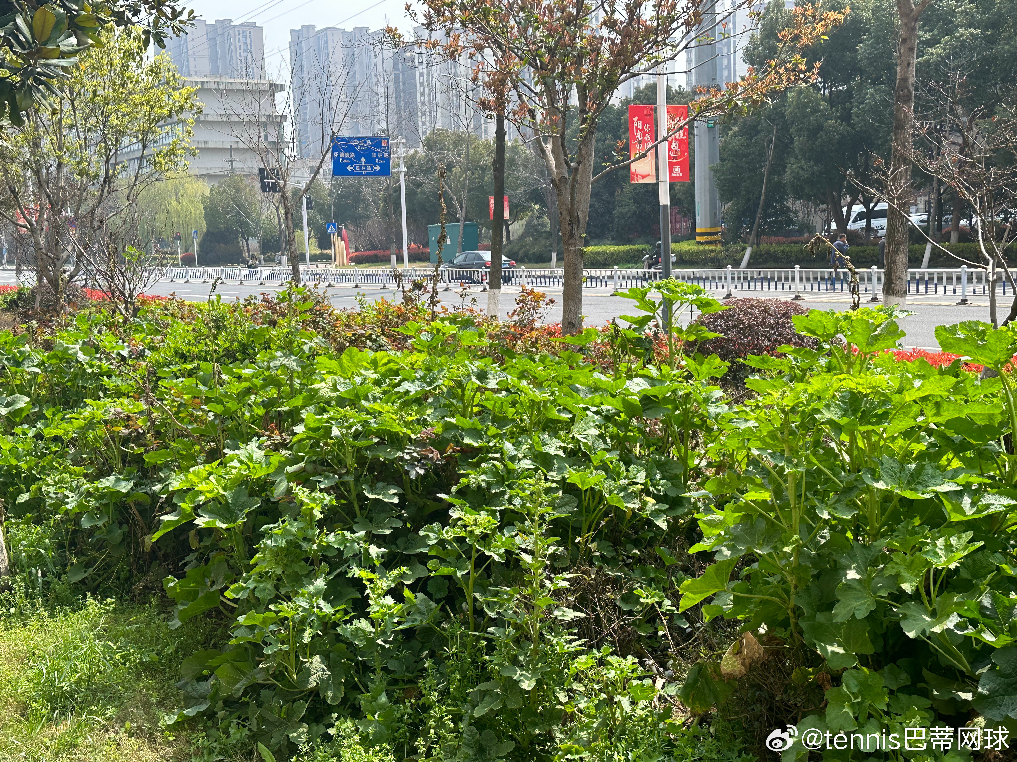健身运动是什么中午午饭后出来溜达呼吸一下新鲜空气，想到张雪峰老师的离开，聊两句健