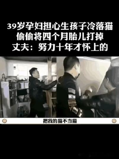 一39岁孕妇因为担心生孩子会冷落自己的猫，于是偷偷跑到医院，将丈夫努力了10年才