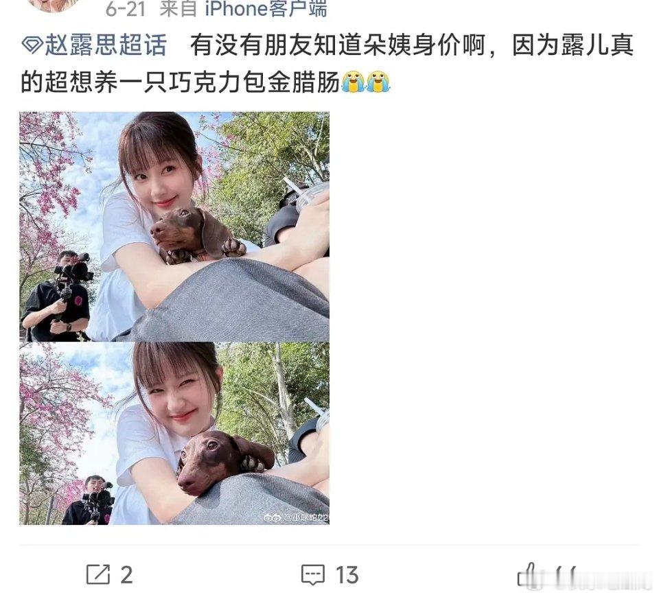这年头吃瓜也不行吗，还扯上粉籍了？不能有自己的喜恶