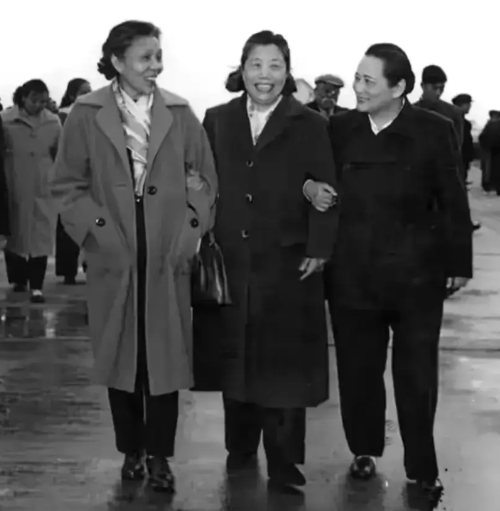 建国初，新中国3位伟大女性的一张合影，一个比一个优秀！在上个世纪50年代
