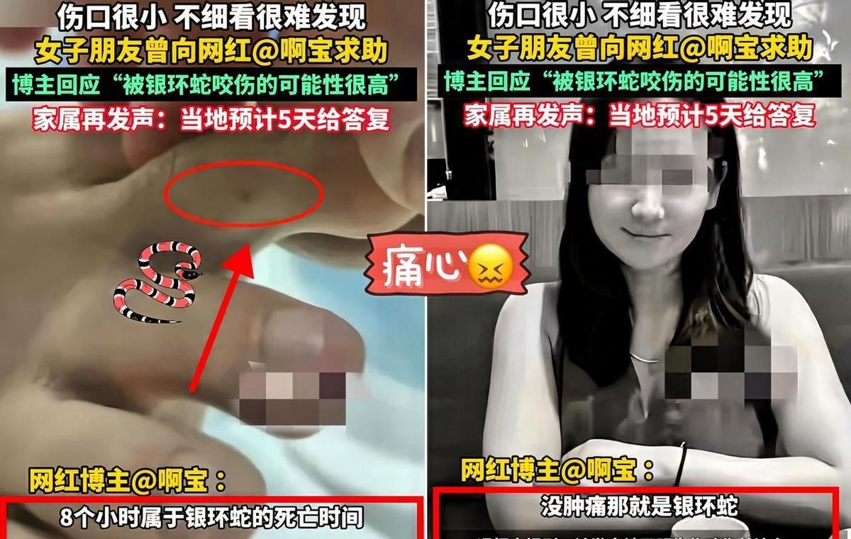三亚毒蛇咬人事件后续反转最新调查结果让人揪心！一姑娘在三亚被毒物咬伤后不幸离世