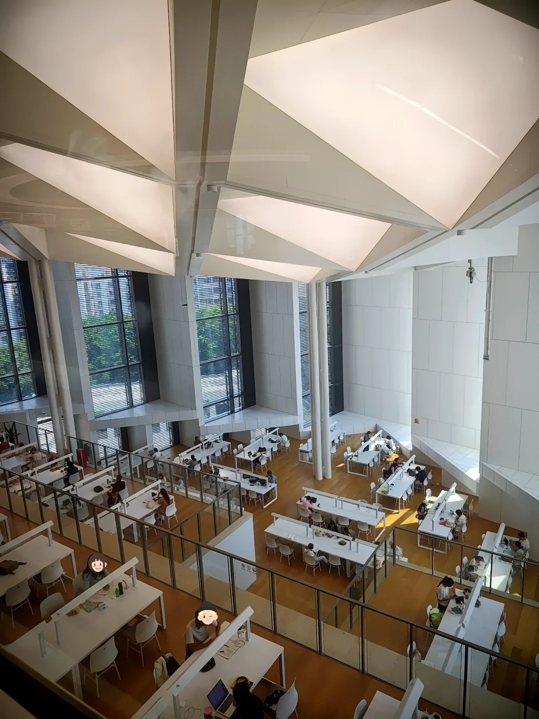佛山的公共空间建设也太给力了