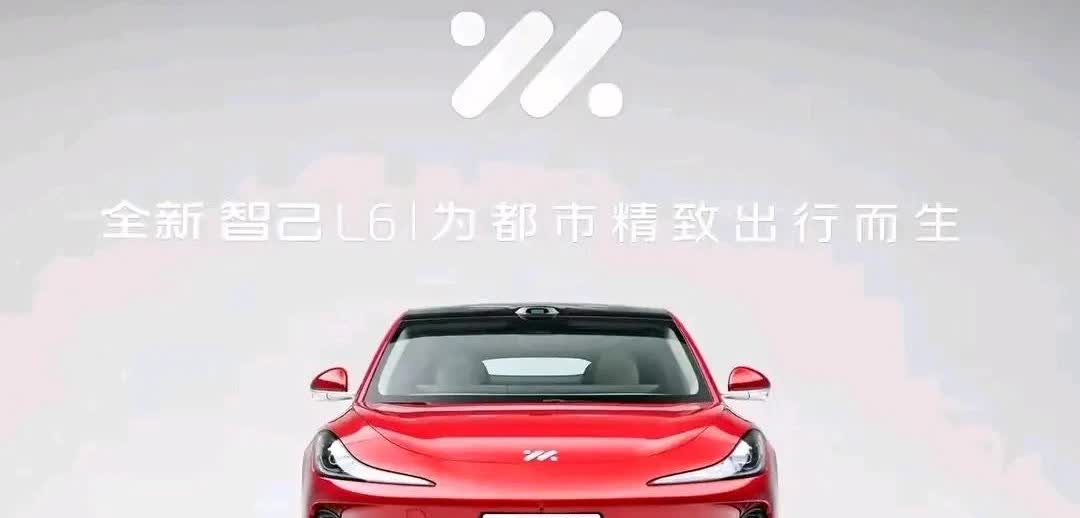 伤害性不大，侮辱性极强！比亚迪王传福没想到，李想也万万没想到，零跑朱江明更万万没
