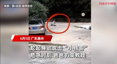 “防不胜防！”6月5日，广东惠州，一位年仅两三岁的孩子正在骑着玩具车玩耍，谁知他