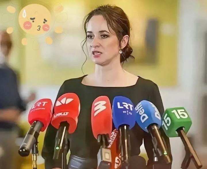 这算盘打得，隔着半个地球都听见响声了立陶宛新总理鲁吉涅内上任3个多月，终于亮