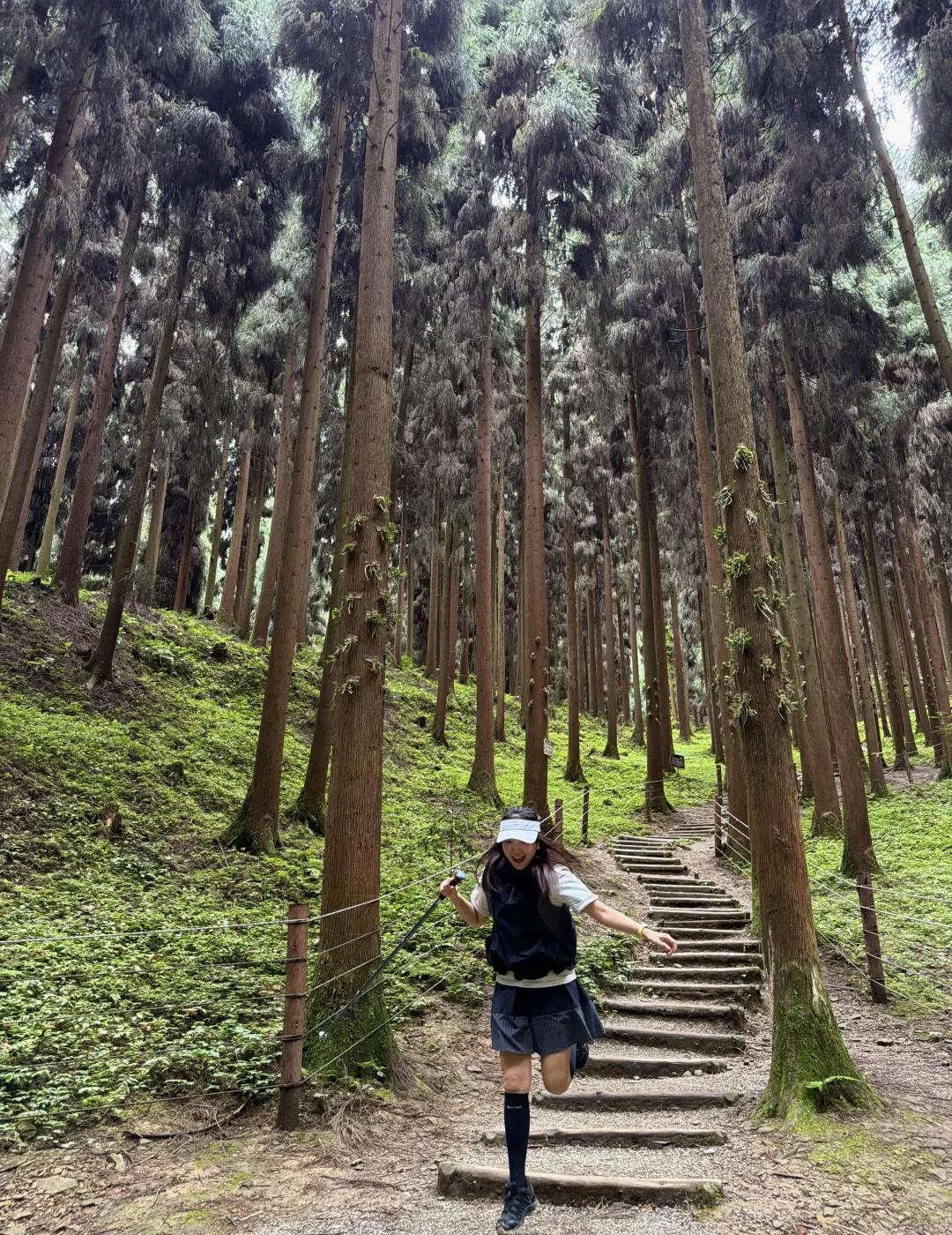 中坝森林周末亲子徒步｜刚爬完真实分享🌳🎫免费徒步登山点：亲子友好型📍我