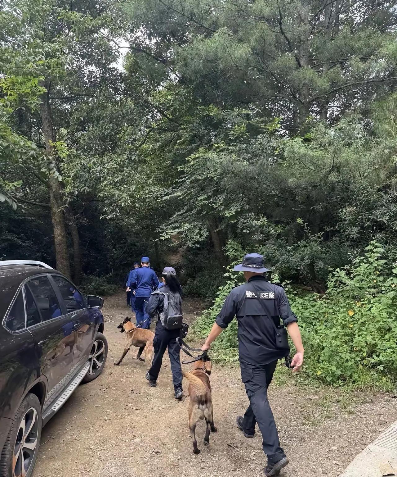 苍山七岁自闭症男孩失踪事件，牵动着每一个人的心据当地人说，苍山并不是一个适合