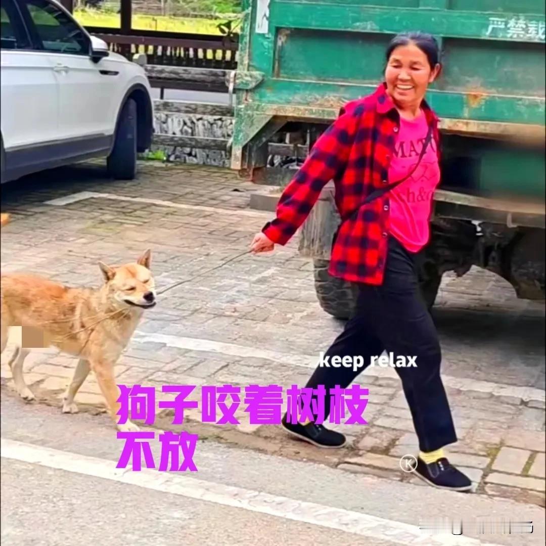 狗子贪玩不回家，主人一着急，随手折了一根树枝拿在手里。狗子看到主人手里树枝后，立