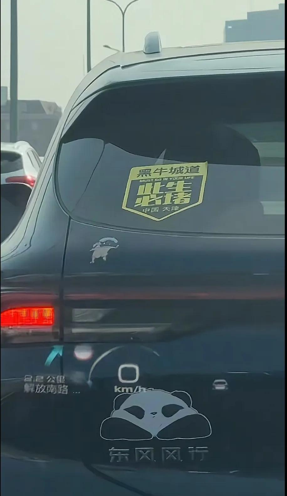天津是个很神奇的地方，快速路不快速，此生必堵黑牛城！天津人自己的巴音布鲁克，众所
