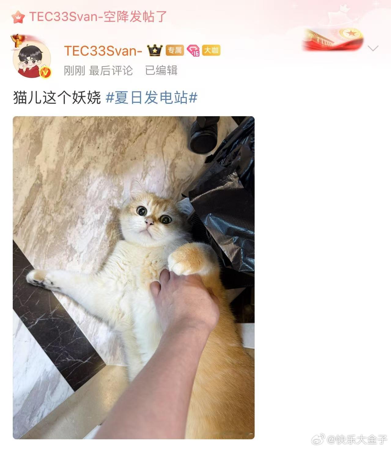 33号小猫技师为您服务33给小猫撸爽了啊[捂脸哭]33Svan​​​