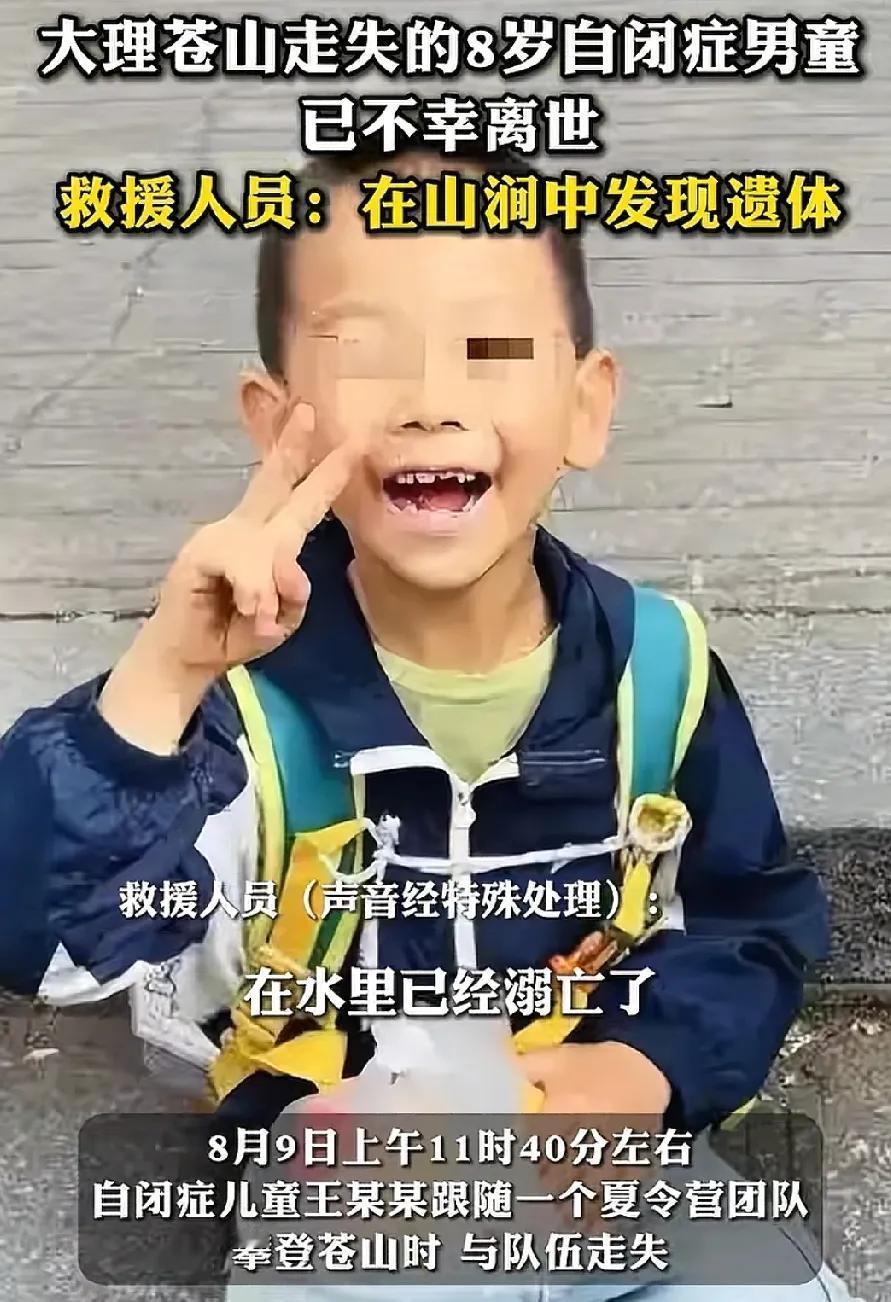 关于苍山失踪的男童，让人最不希望看到的结果还是出现了。孩子确实是找到了，