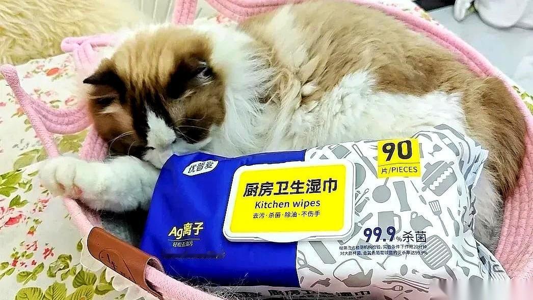 我跟你说，厨房里最让人泄气的，根本不是切洋葱辣眼睛。是辛辛苦苦做完一桌子菜，回