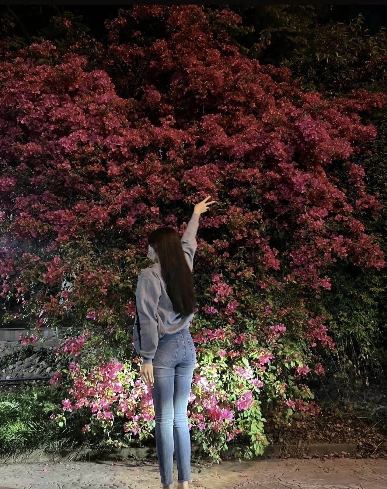 夜晚的浪漫，与花海相拥，做一个美美的梦