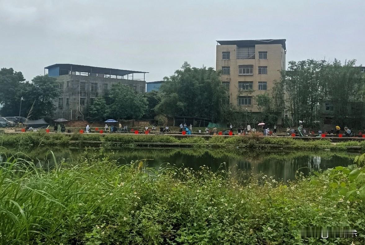 以前我总纳闷，为啥这些男人们能在水边蹲一整天，就为了等鱼咬钩？今天看着这满塘边