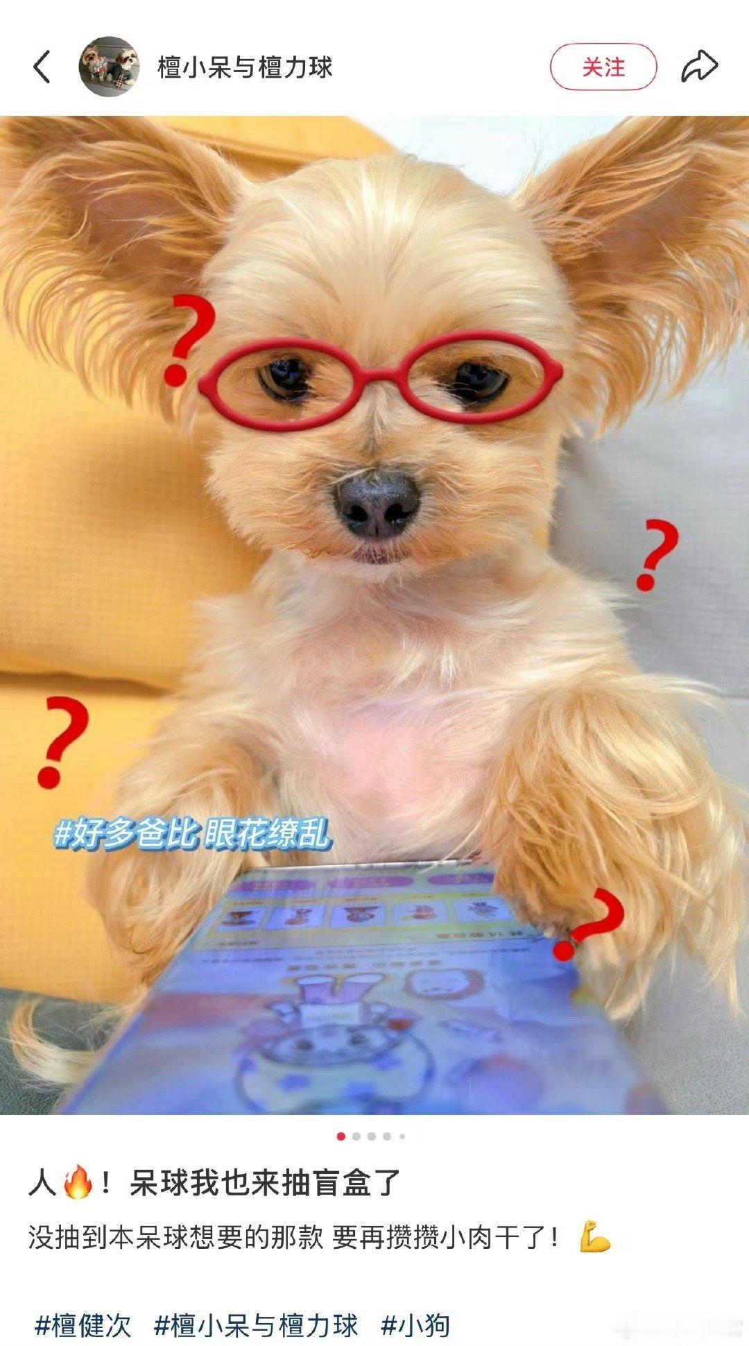 太可爱了吧，连呆球也来了​​​