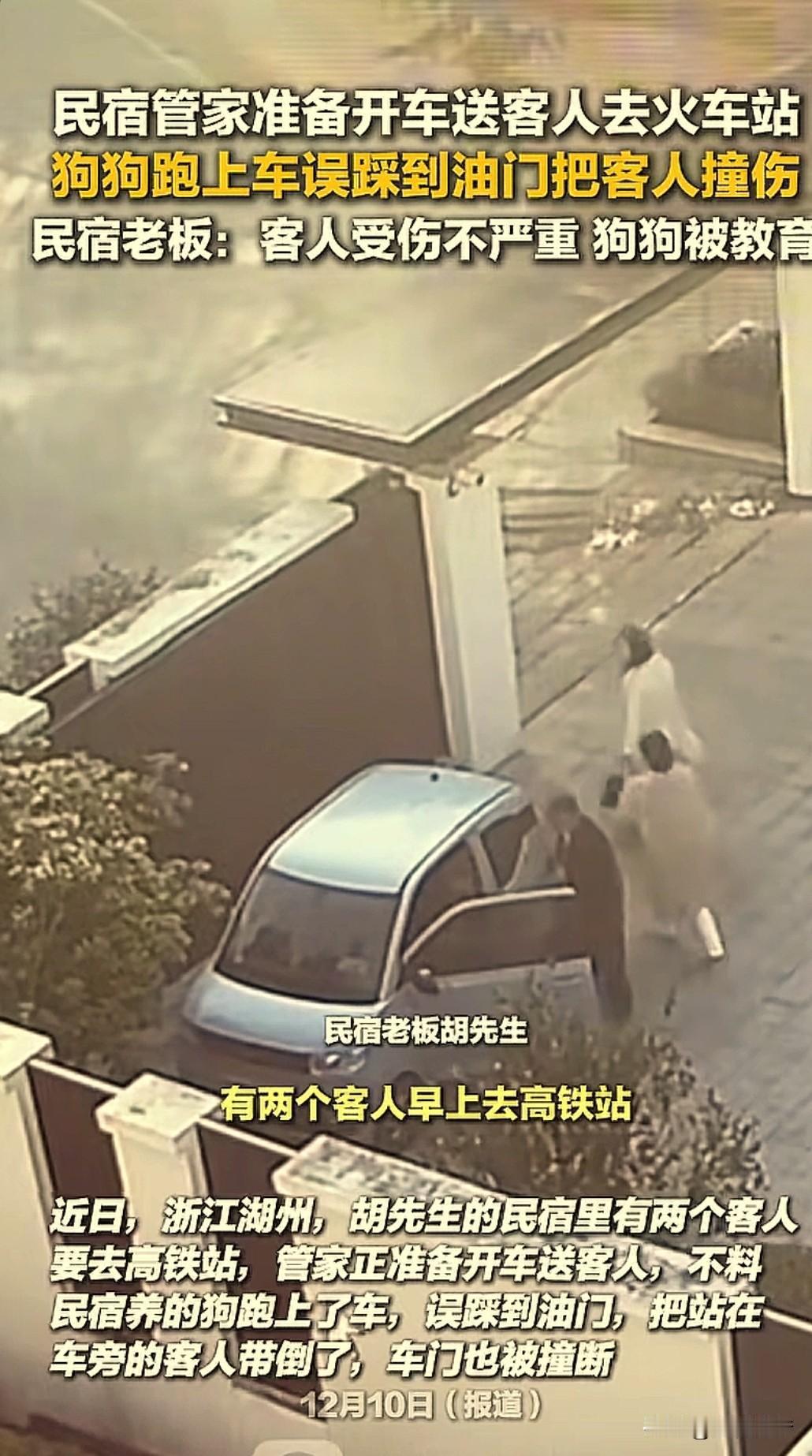 “这祸闯大了！”浙江，两女子搭民宿车去高铁站，刚要上车，院子里的狗狗突然蹿出，坐