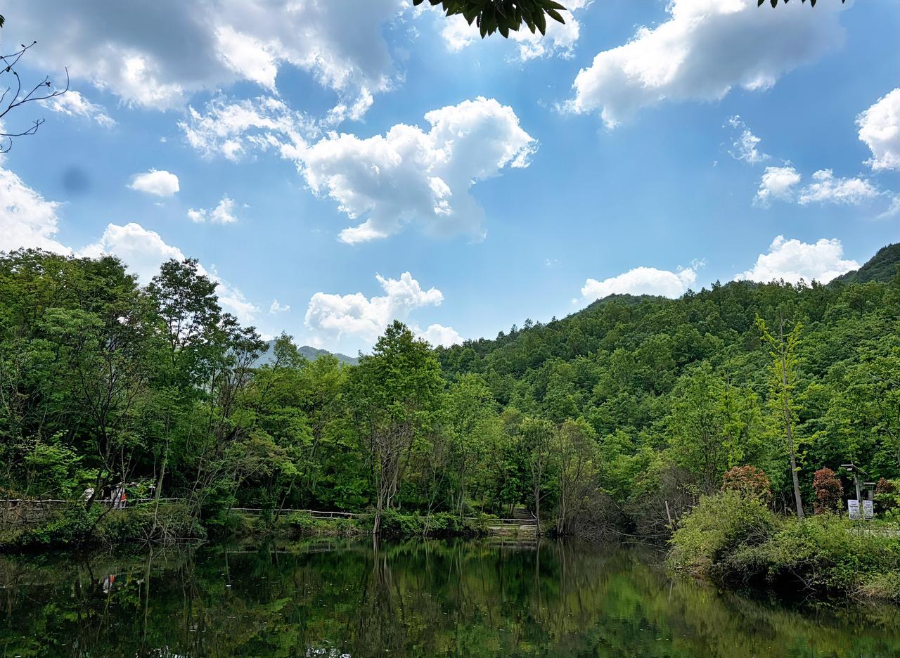 学校里的张老师查出乳腺癌，我听了一夜没睡好。昨晚散步，她让我帮她分析原因，我