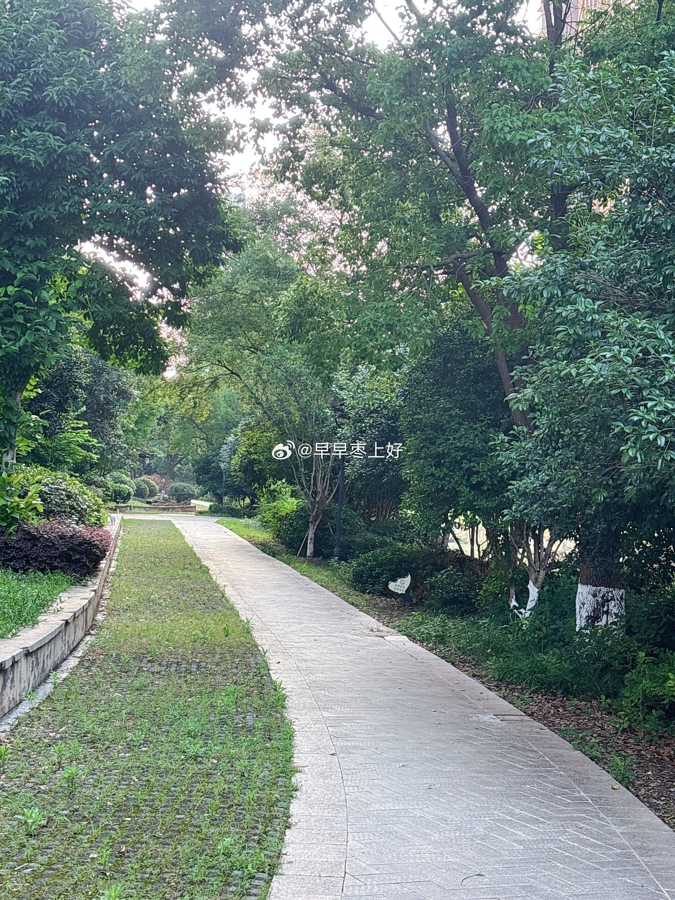 全世界早早早安啊‼️每天5点半早起，“甩胳膊散步”Day5，运动打卡完成✔️运动