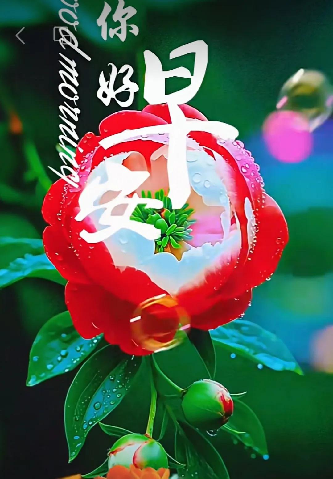 路路相通心相連，我們相遇就是緣，又有牽掛又惦念，問候祝福在身邊，早上吉祥