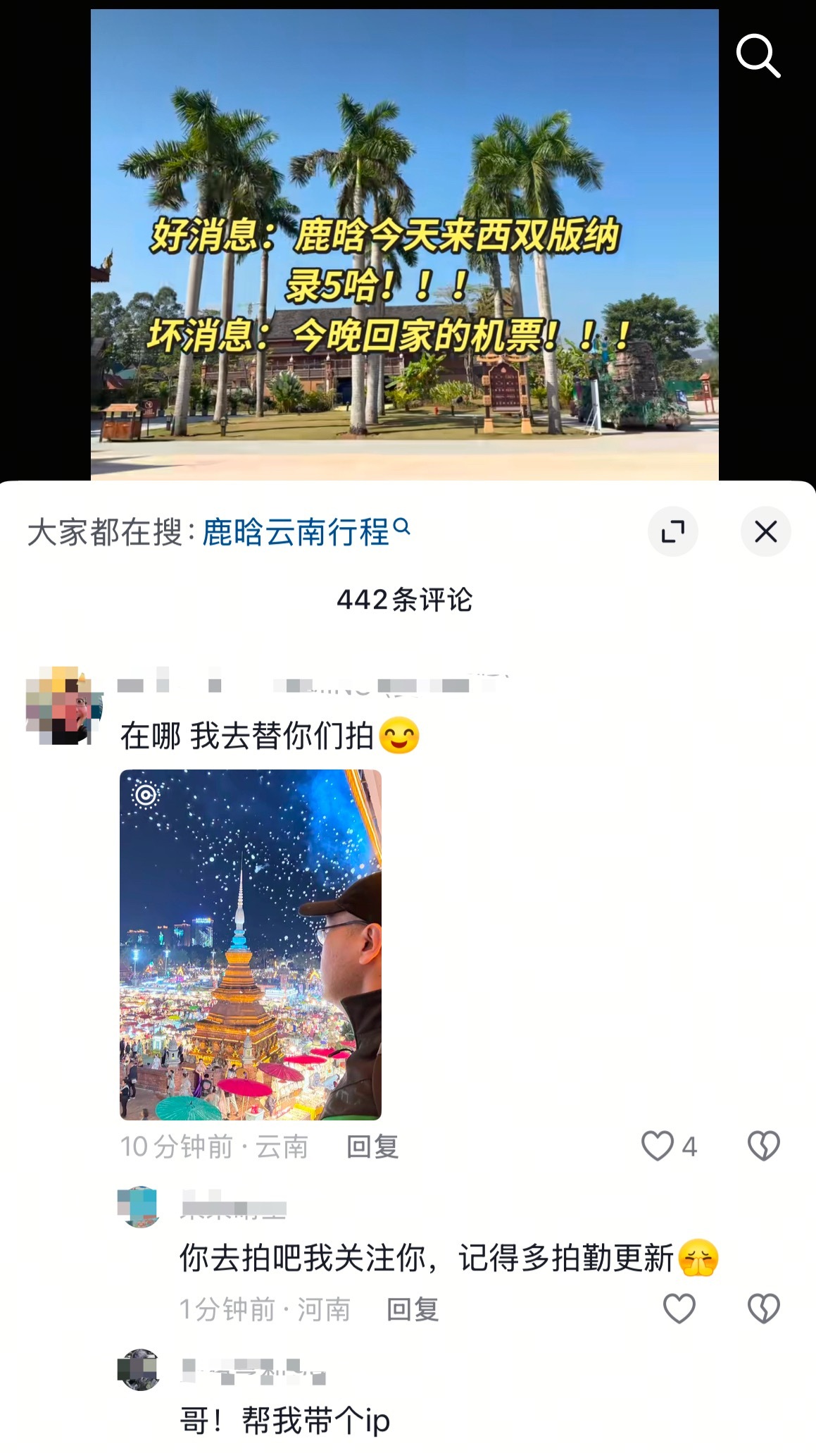 “哥帮我带个🆔”一生酷爱带ID的小芦