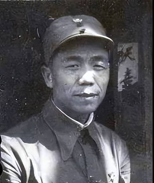 解放后，1965年，解放后，聂凤智有一次到某地疗养，发现年轻的女护理员沉默寡言，