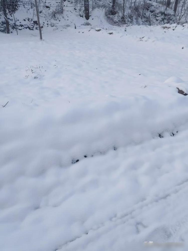 有一天晚上，躺在被窝里，突然和老婆聊起了出轨的问题，现在想想都后怕：老婆：“老公