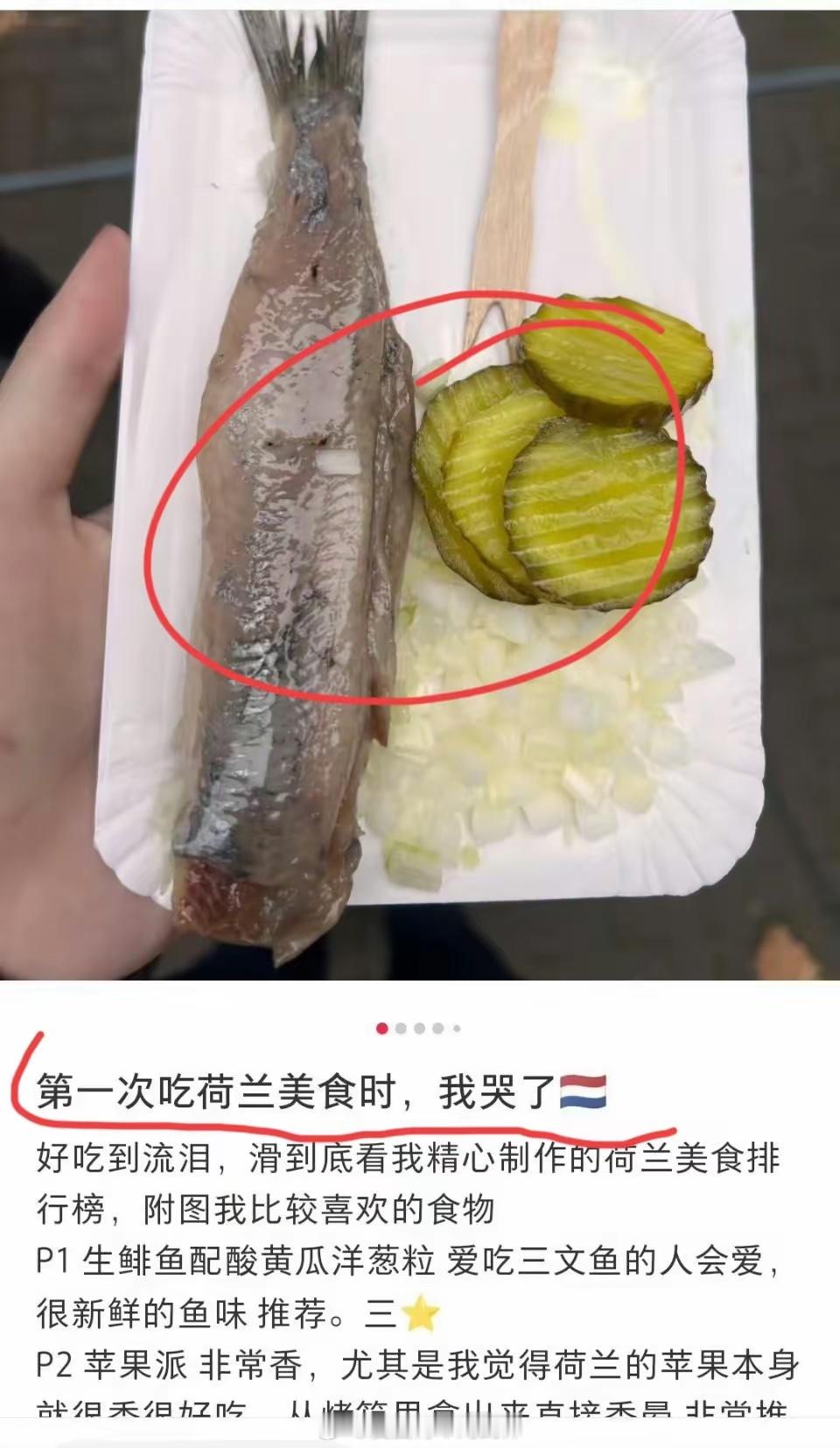 这位网友说自己第一次吃荷兰美食然后哭了……我是很奇怪这位网友是怎么看着他晒出的食