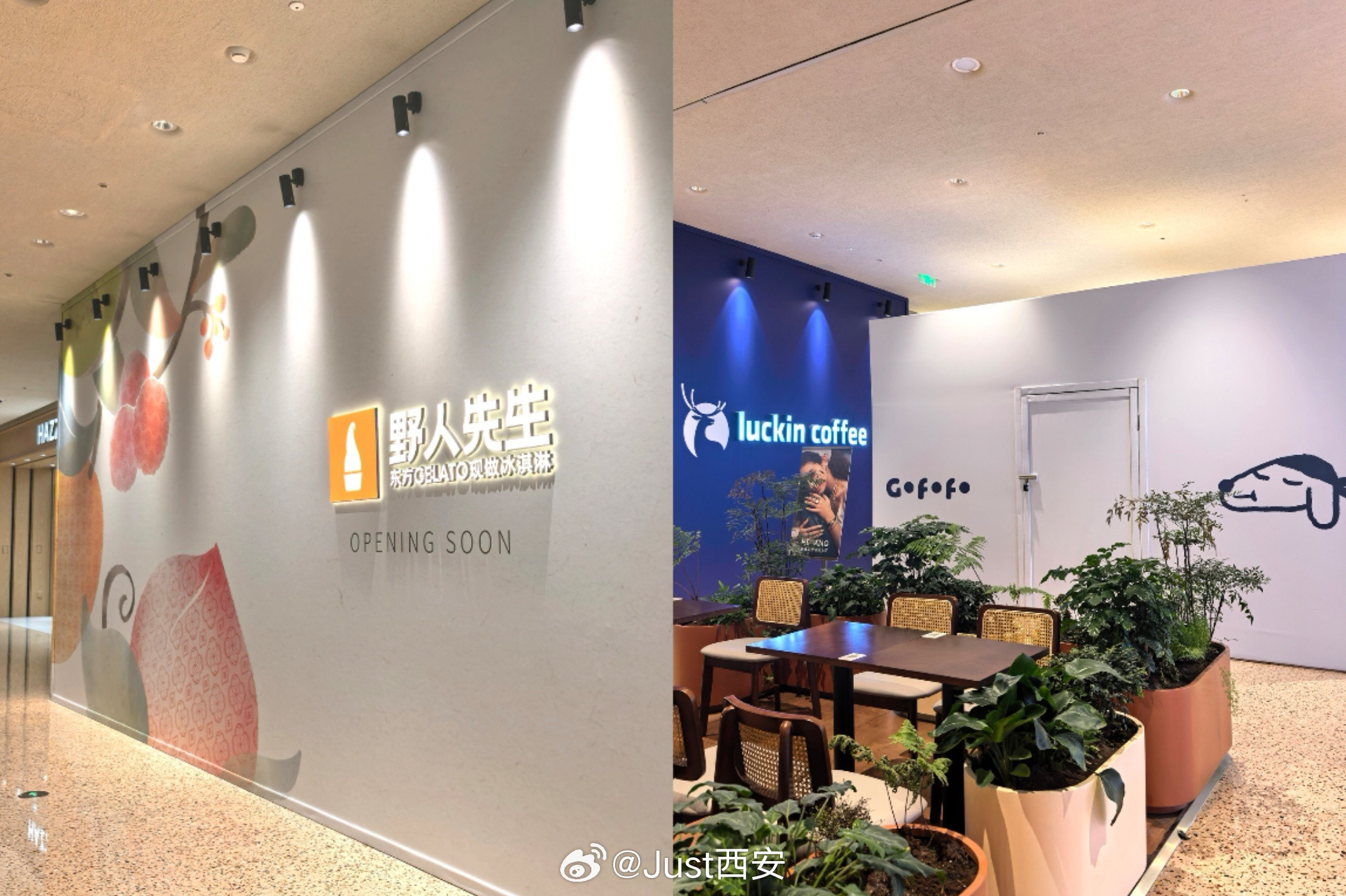 西安万象城本周品牌动向，1新开+5围挡+1围挡变化↓↓↓西安商业西安万象城①