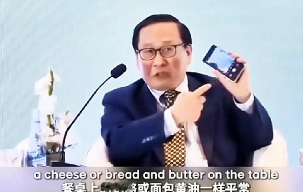 2025巴基斯坦国际会议，几位西方代表叫板高志凯：“你们的手机芯片是进口的，卫星