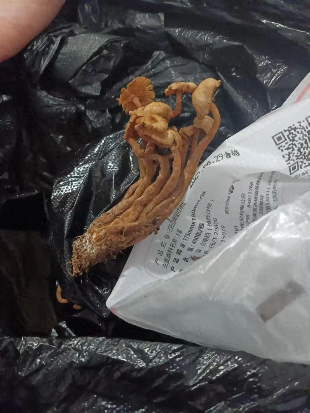 痛心！3人不幸离世，亲属：中午吃了晚上又吃，目前正在办理后事！2025年1