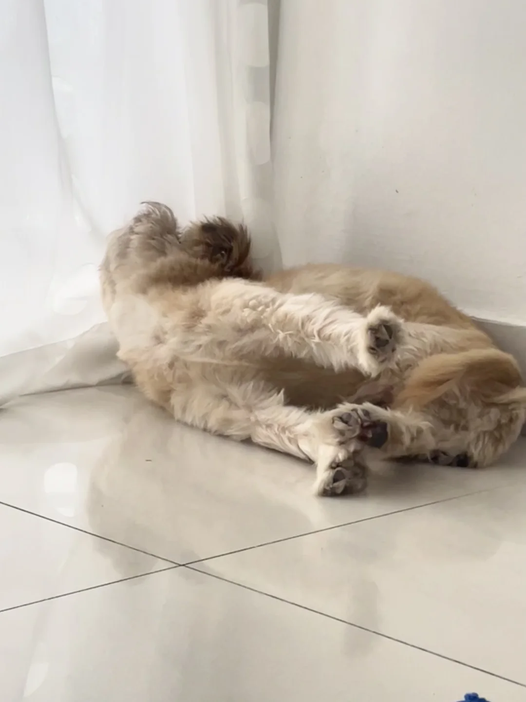 嗯～伸懒腰