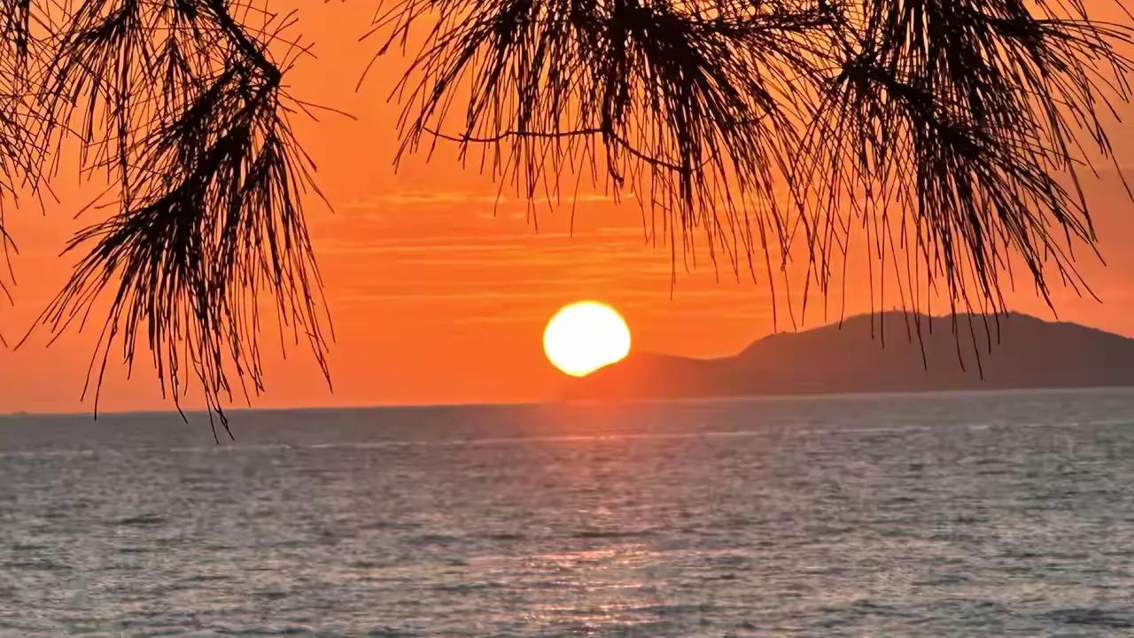 赴山海吧2026上半年青岛新房二手房成交约6.59万套，成交持续回暖据官方数据