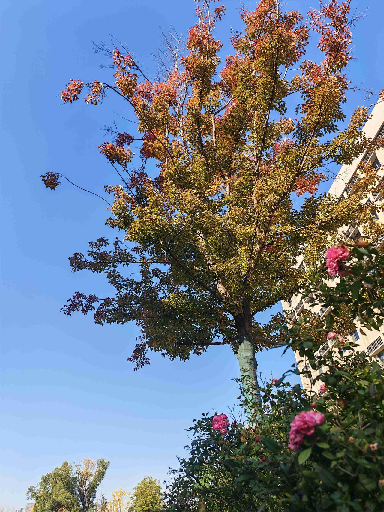 真正的智者，懂得将锐气收敛于鞘，待人接物温润有度。这便是“藏锋不露，守相有度